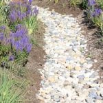 French Drain Installations in Longwood, Florida