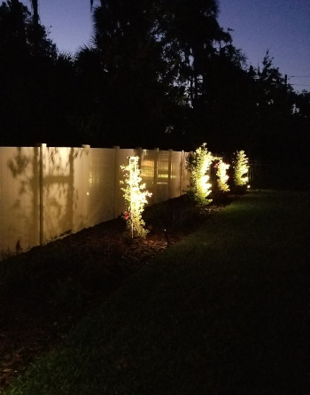 Landscape Lighting in Orlando, Florida