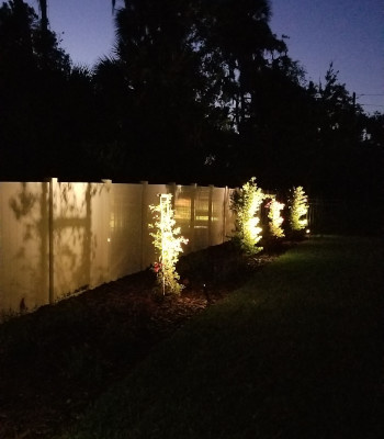 Landscape Lighting in Maitland, Florida